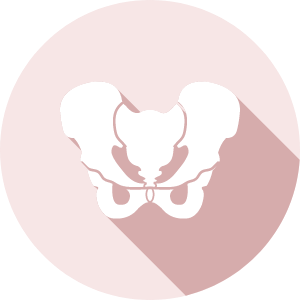 Pelvic Health Physiotherapy